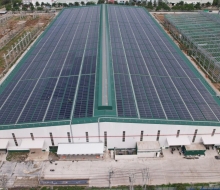 Công ty thép Hòa Phát Long An tự chủ gần 40% điện sản xuất nhờ hệ thống điện mặt trời